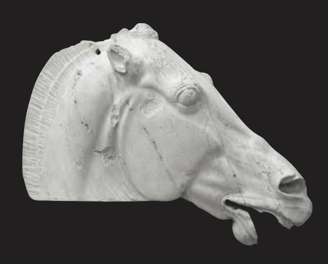 A white ceramic or plaster fish sculpture with detailed fin and facial features against a black background.