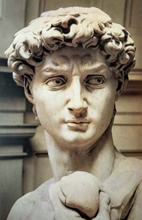 Close-up of a classical marble sculpture bust of a young man with curly hair, expressive eyes, and a thoughtful expression.